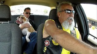 Taxi Ride of the Week: He's slobbering everywhere | Branson Taxi