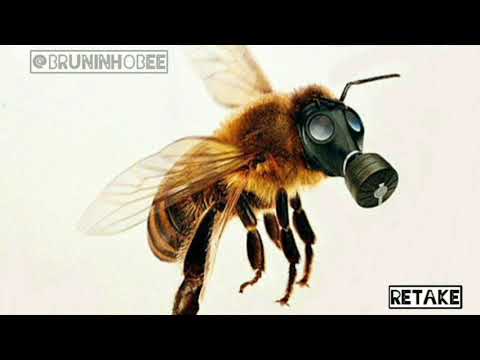 Bruninho Bee - Retake (ft. Tina Ferinetti)