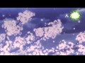 Демоны бледно-розовой сакуры (Хиджиката и Чизуру) 