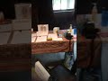 Dr. Sunlight Little vends at the 11th Black Women's Arts Festival 2017