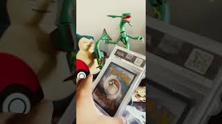 🦅🔥🦅⚡️🦅 #pokemon #pokemoncards #pokemontcg 💧