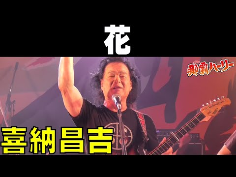 喜納昌吉／花【2024那覇ハーリー】 のサムネイル