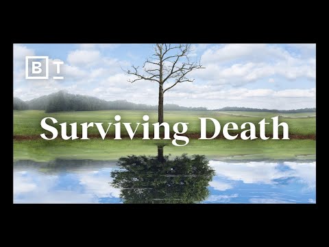 瀕臨死亡的經歷殺死了你曾經是的人--布魯斯-格雷森 (Near-death experiences kill the person that you used to be | Bruce Greyson)