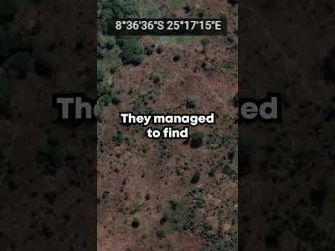 Huge News about the Congo Snake Photo!! #snake #cryptids #animals