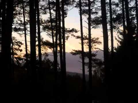 Loudavý návraty - Wabi Ryvola