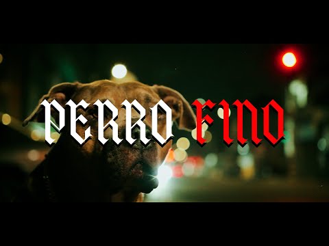 Penyair - Perro fino x @EddyMugre_Beats x @DJDmoe  (Video Oficial)