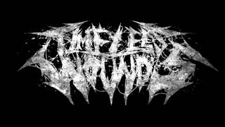 Timeless Wounds - Disciples Of The East