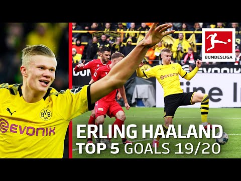 Erling Haaland - Top 5 Goals 2019/20