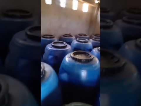 cachaça artesanal/alambique na zona rural de licinio de Almeida Bahia