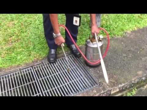 NEA officer spraying oil into drain at Bishan St 12