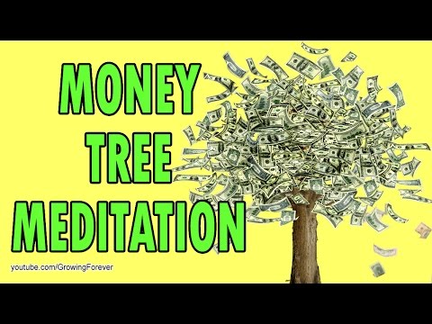 download lagu mp3 mp4 Abundance Tree, download lagu Abundance Tree gratis, unduh video klip Abundance Tree