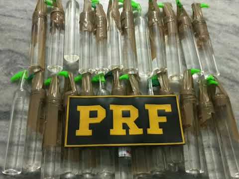 PRF APREENDE 25 TUBOS DE LANÇA-PERFUME NA REGIS BITTENCOURT