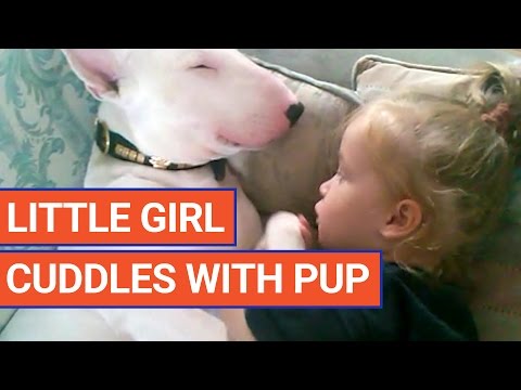 Little Girl Cuddles Bull Terrier Video 2017 | Daily Heart Beat