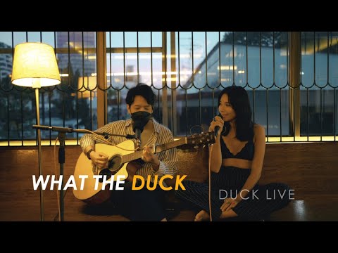 Duck Live 123 - Drunk Sleeping In Taxis - Valentina Ploy