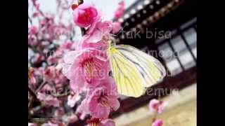 Download lagu Ketulusan mp3 Download lagu Ketulusan mp3
