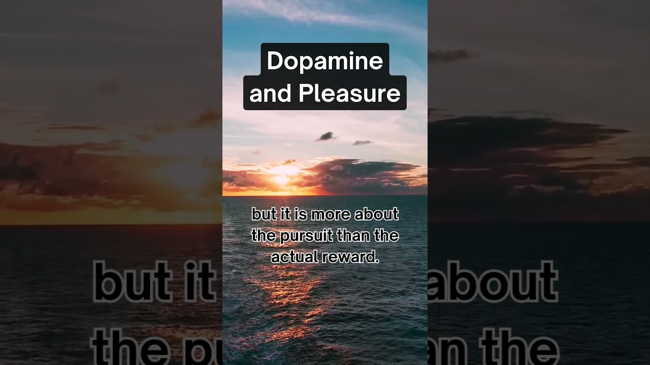 Dopamine & Pleasure: The Truth About Your Brain’s Reward System