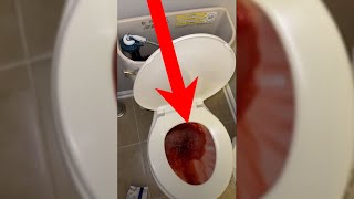 FAKE BLOOD IN TOILET PRANK