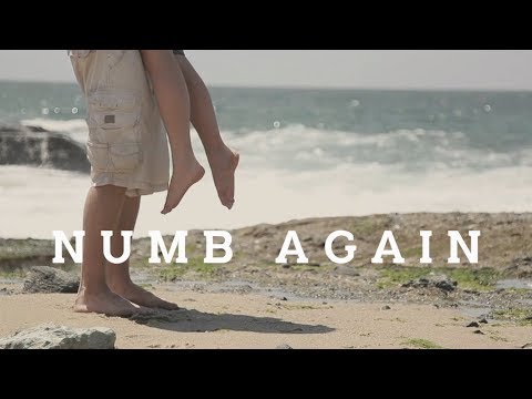 Radu & White Lynx - Numb Again (Asher Remix)