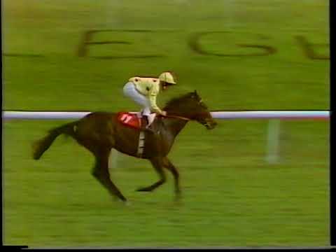 1986 Futurity Stakes Reference Point + Replay
