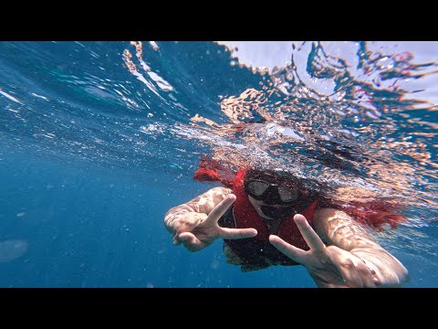 Snorkeling in the Maldives | SandBank Visit | Maldives June 22 | Maafushi Island