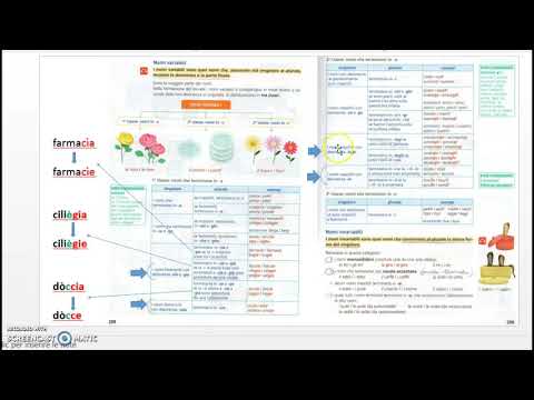 la forma del nome: il numero singolare e plurale