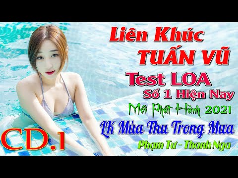1 LK MÙA THU TRONG MƯA REMIX 2021- PHẠM TƯ THANH NGA, LIÊN KHÚC TUẤN VŨ HAY NHẤT, NHẠC SỐNG TEST LOA
