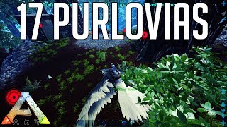 The BIGGEST Purlovia Find! : Ark: Survial Evolved Small Tribe Servers