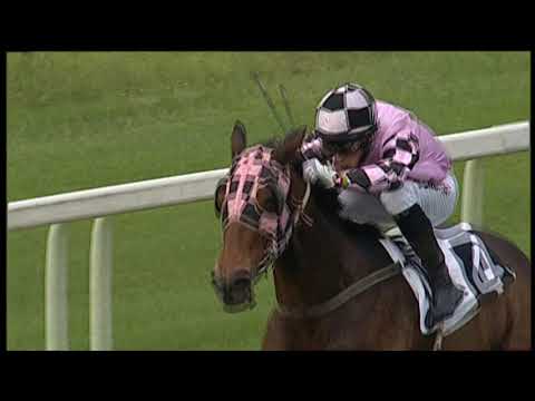 2018-11-11 Corsa 1 Metri 1200 Premio Montecchio 1a batteria "circuito sprinter"