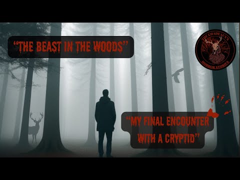 The Beast in the Woods My Final Encounter with a