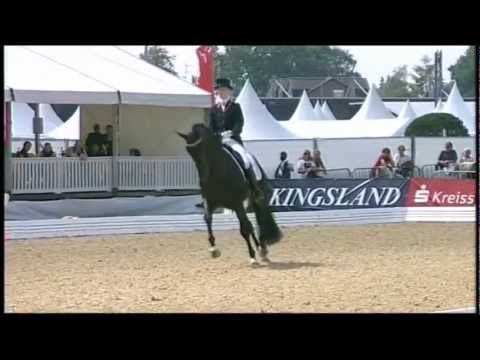 Bon Bravour - Hengste 2013