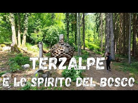 (R96) Terz'alpe (793m) e Sentiero dello Spirito del Bosco da Canzo (CO) #walking #hiking