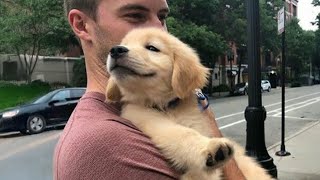 When God Sends You the Funniest Puppies Ever 🤣 | Funny Dogs Videos 2026
