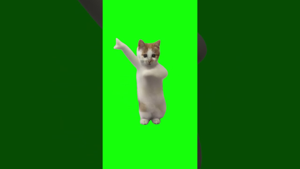 Dancing Cat Meme | Green Screen