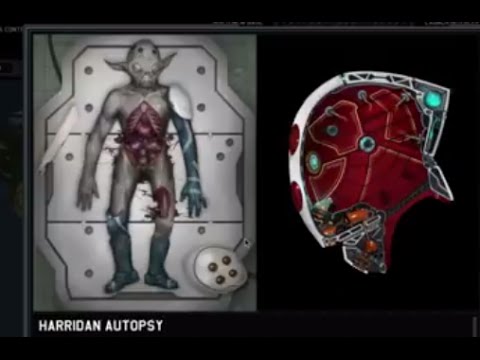 Xenonauts - Part 14 - Harrassing Harridans