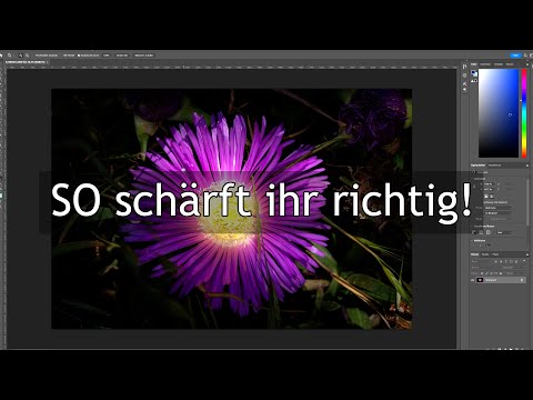 Schärfen in Lightroom und Photoshop | SO werden deine Fotos scharf!