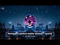 DJ RICK 013 Montagem Sombra Estelar SLOWED REVERB 1 Hour