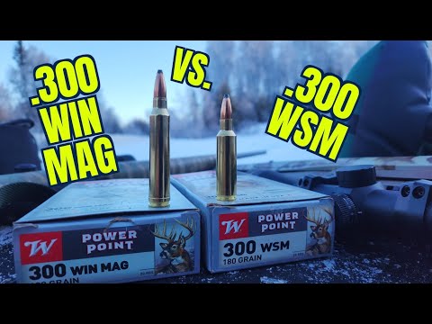 WILL THEY BLOW?! 300 Blackout Deer Season XP 150gr Ammo Test