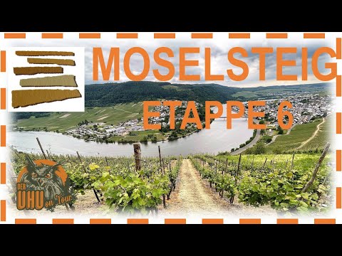 Entdecke den Moselsteig Etappe 06 - Schweich nach Mehring