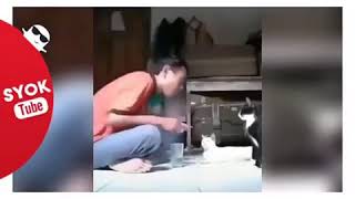 Download lagu LAWAK LUCU..LINTANG PUKANG DIA LARI...VIRAL.. mp3 Download lagu LAWAK LUCU..LINTANG PUKANG DIA LARI...VIRAL.. mp3