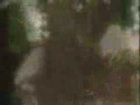 Vlasta Redl - Rahradice