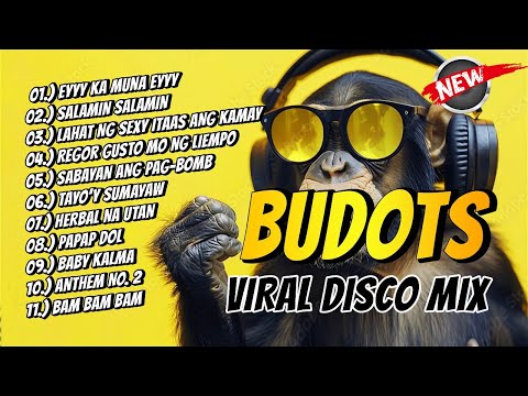 New VIRAL BUDOTS DISCO PARTY 2024 - DJ JOHNREY DISCO REMIX