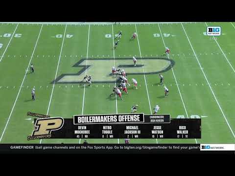 Ryan Browne 49-YD Strike to Arhmad Branch for SIX vs. Ball St. | Purdue Football