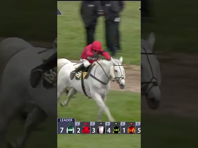 Thumbnail for Post ID: fVxeKVwvBqw