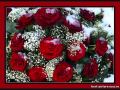 И.Аллегрова-Свадебные цветы.wmv 