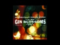 Gin Blossoms - I Can't Figure You Out