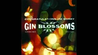 Gin Blossoms - I Can&#39;t Figure You Out