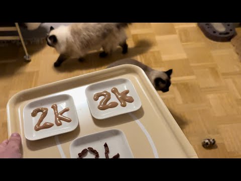 Celebrating 2000 Subscribers with Nisse, Bonnie and Ekaterina!