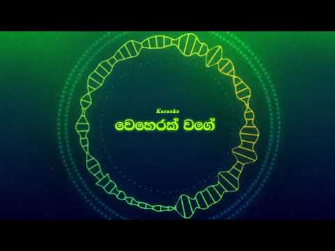 Weherak Wage (Karaoke) - Karunarathna Divulgane