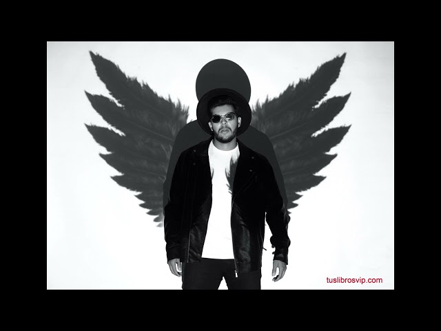 Vídeo relacionado con El ángel negro (Serie David Gurney 7)