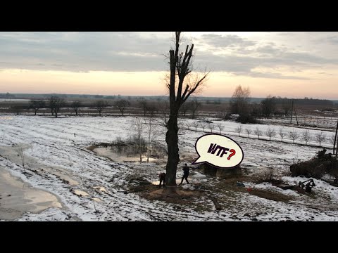 쓰러지고 싶지않는나무 무슨일이 일어났는지 보세…